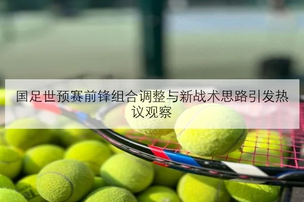 国足世预赛前锋组合调整与新战术思路引发热议观察